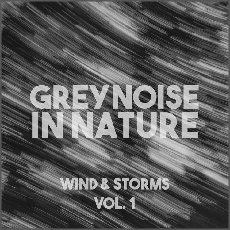 The Sound Of Grey Noise And Wind's avatar image