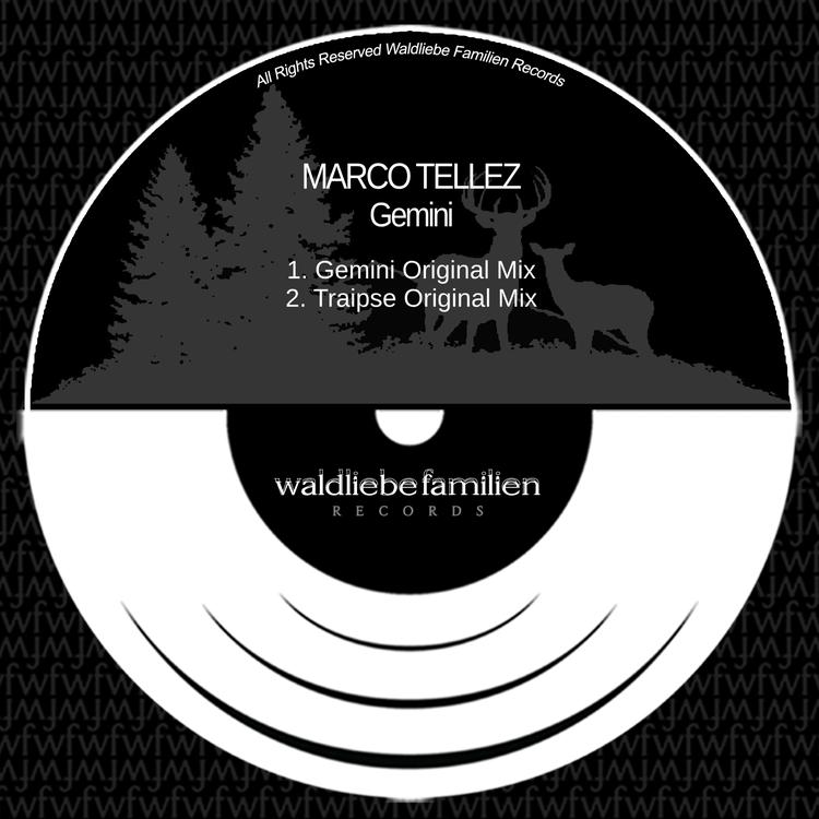 Marco Tellez's avatar image