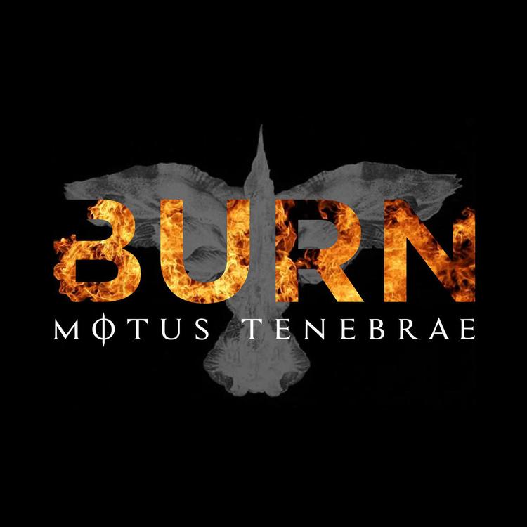 Motus Tenebrae's avatar image