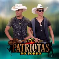 Os Patriotas Do Forró's avatar cover