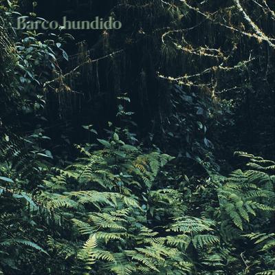 Barco Hundido By Bardo José's cover