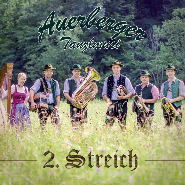 Auerberger Tanzlmusi's avatar image