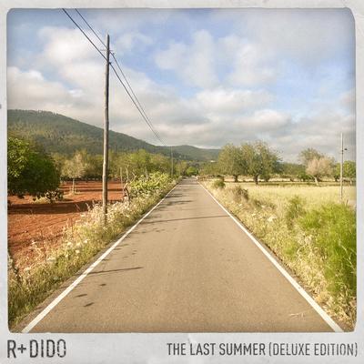 The Last Summer (Deluxe Edition)'s cover