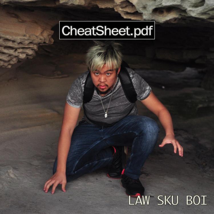 Law Sku Boi's avatar image