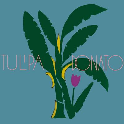 Tulipa Ruiz e João Donato's cover