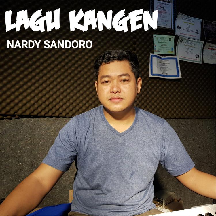 Nardy Sandoro's avatar image