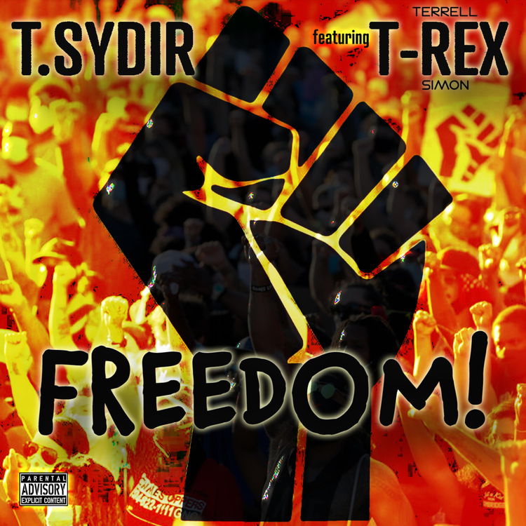 T. Sydir's avatar image