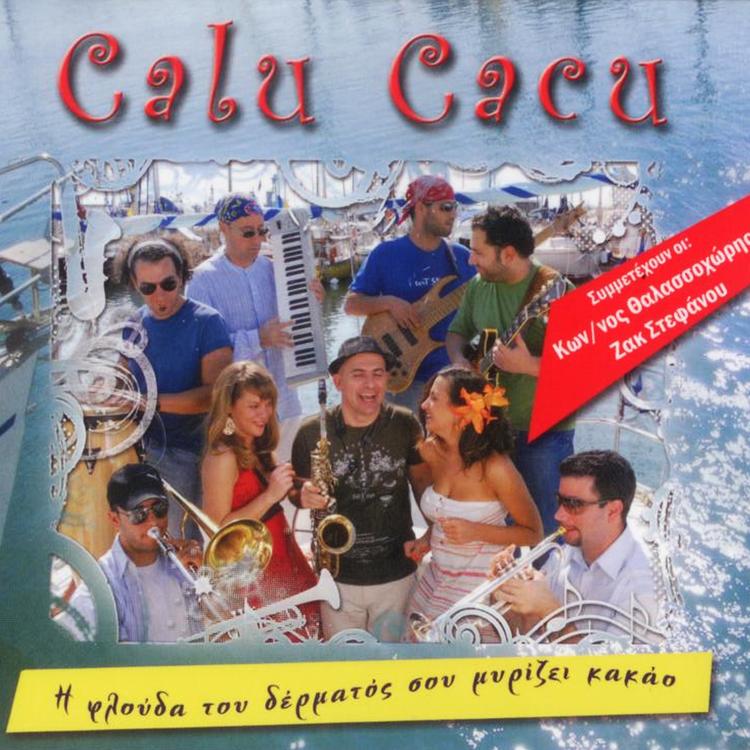 Calu Cacu's avatar image