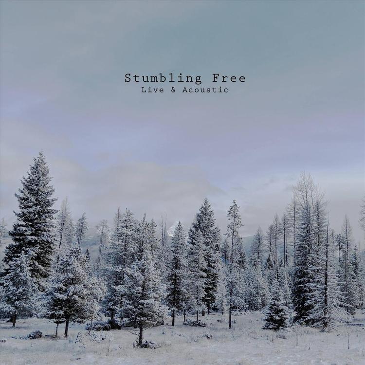 Stumbling Free's avatar image