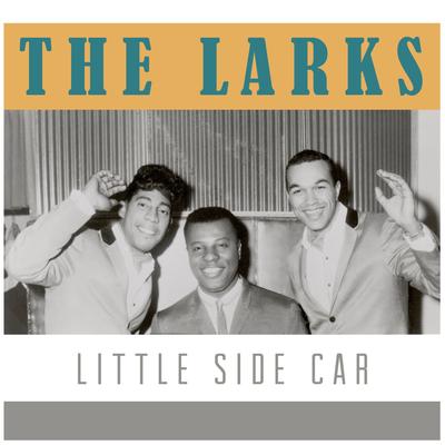 The Larks's cover