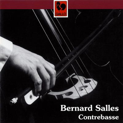 Concerto Grosso in D Minor,  Op. 3, No. 11, RV 565: Largo  By Bernard Salles's cover