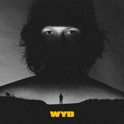 wyd's cover