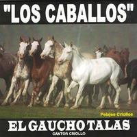 El Gaucho Talas's avatar cover