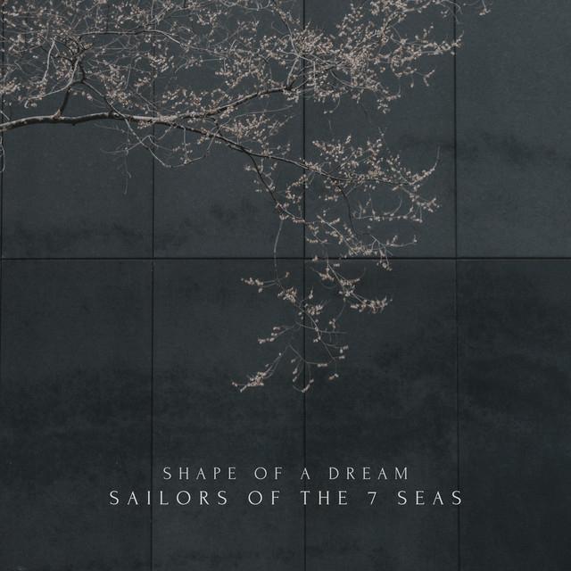 sailors of the 7 seas's avatar image