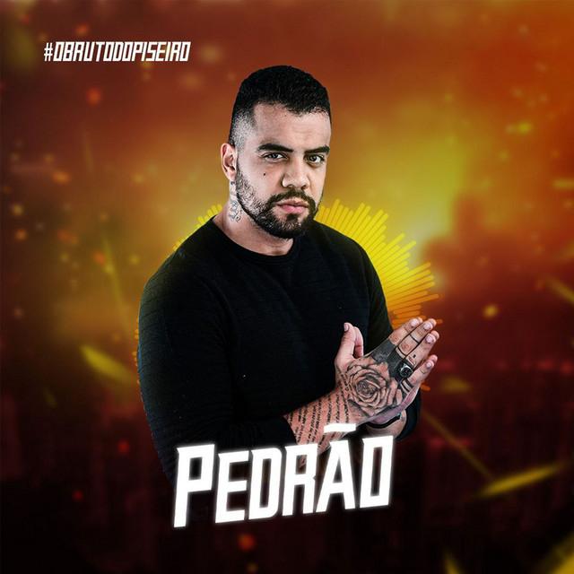 PEDRÃO's avatar image