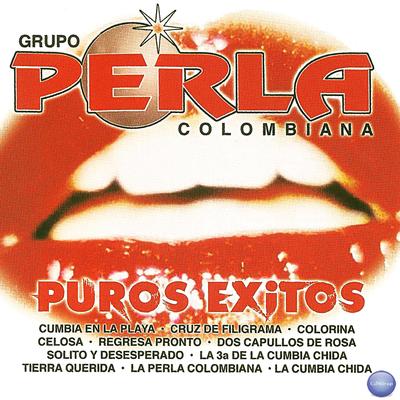 Puros Exitos's cover