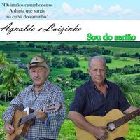Agnaldo e Luizinho's avatar cover