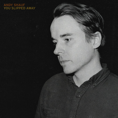 You Slipped Away By Andy Shauf's cover