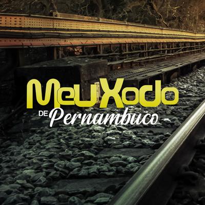 Sou ou Não Sou By Banda Meu Xodó De Pernambuco's cover