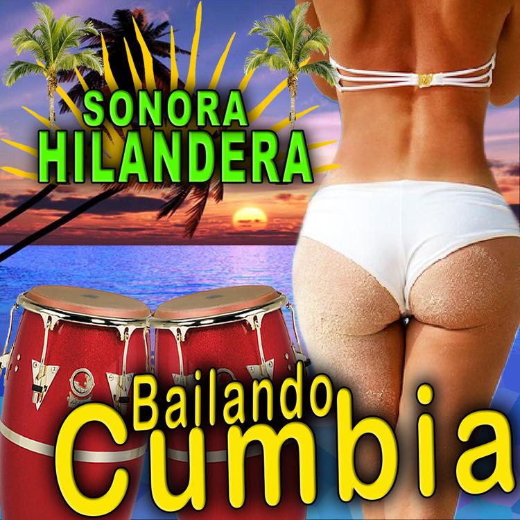 sonora hilandera's avatar image