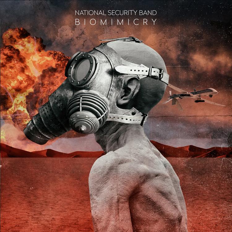 National Security Band's avatar image