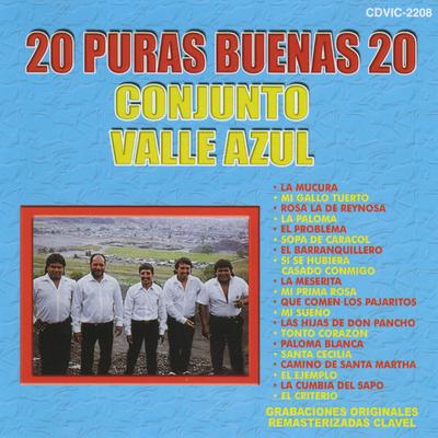 Conjunto Valle Azul's cover