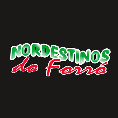 Nordestinos do Forró's cover