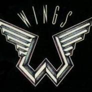 Wings's avatar image
