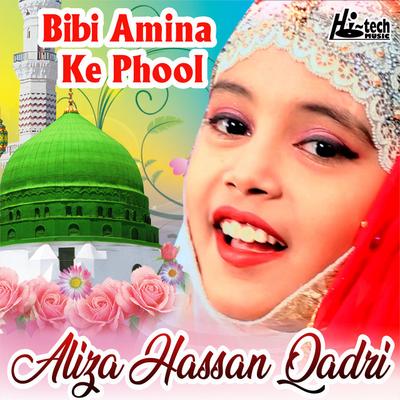 Aliza Hassan Qadri's cover