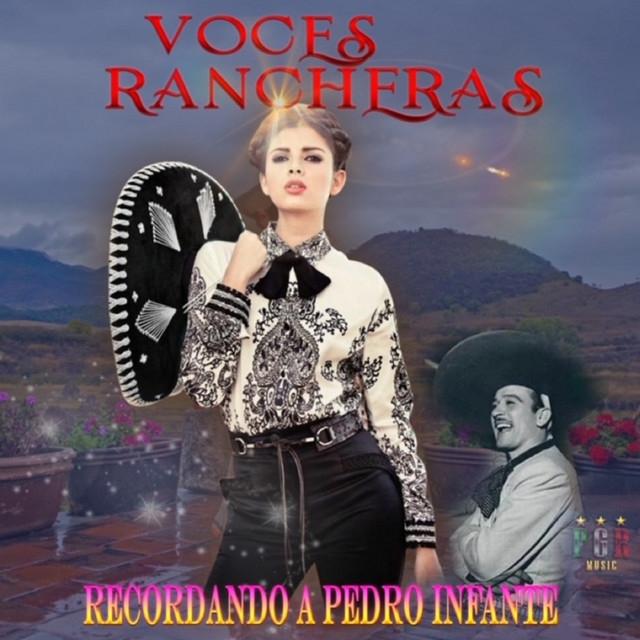 Lo Mejor De La Musica Mexicana's avatar image