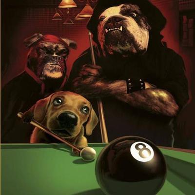 Eightball's cover