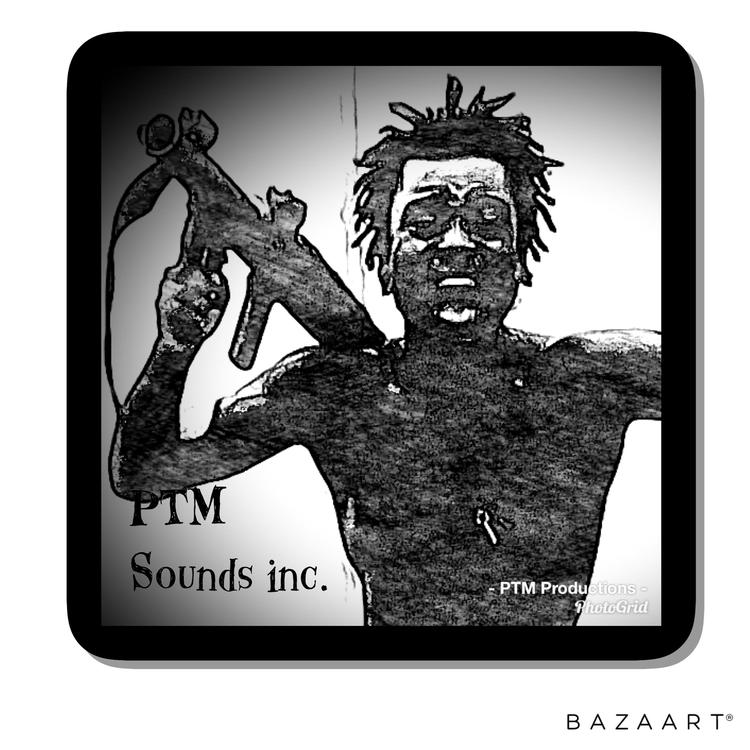 PTM Sounds Inc.'s avatar image