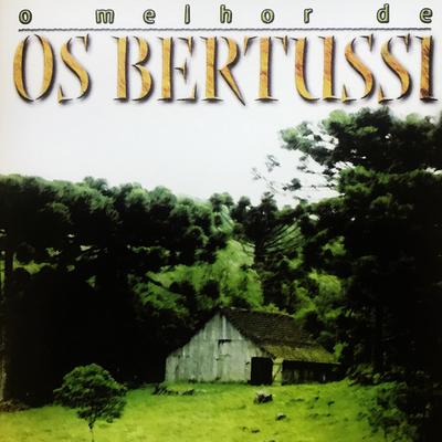 Os Bertussi's cover