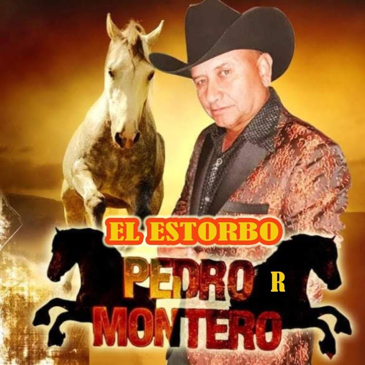 Pedro R Montero's avatar image