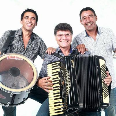 Trio Sabiá's cover