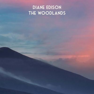 Diane Edison's cover