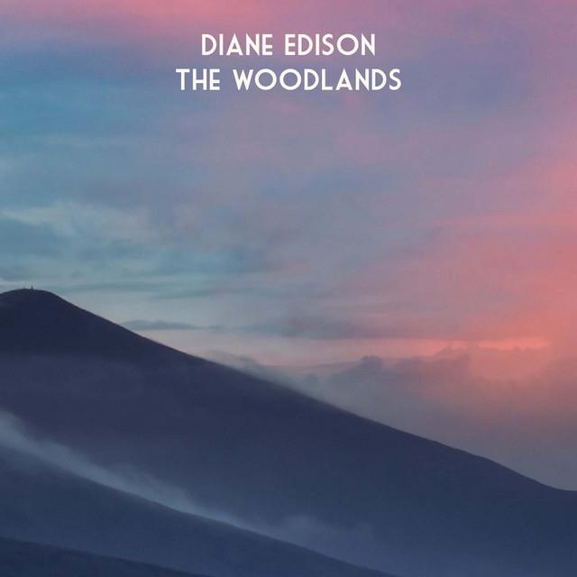 Diane Edison's avatar image
