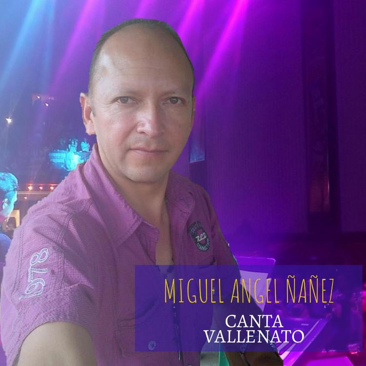 Miguel Angel Ñañez's avatar image