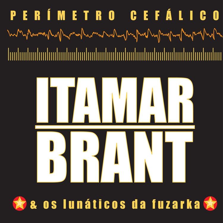 Itamar Brant & os lunáticos de fuzarka's avatar image