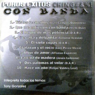 Puros Exitos Chingones!'s cover