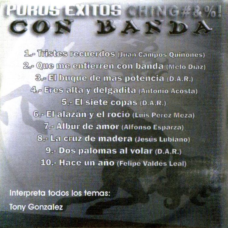 Puros Exitos Chingones!'s avatar image