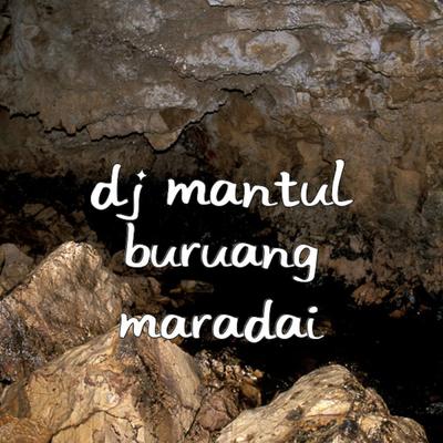 DJ Mantul's cover
