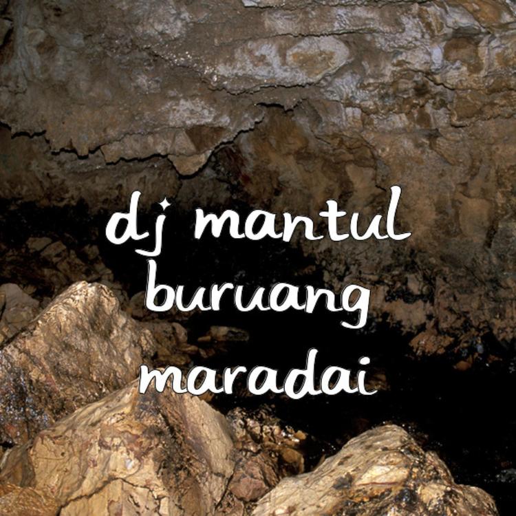 DJ Mantul's avatar image