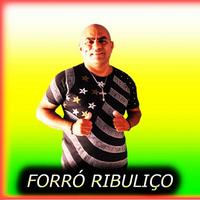 Forró Ribuliço's avatar cover