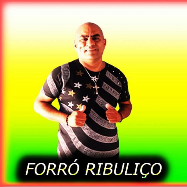 Forró Ribuliço's avatar image