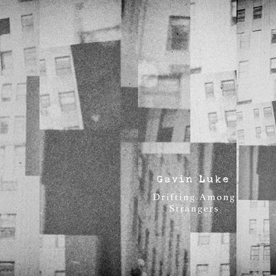 Delicate Transitions By Gavin Luke's cover