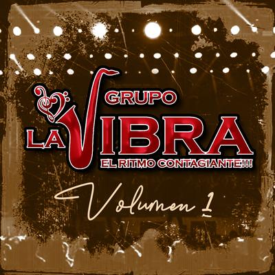 Matachines y Pascolas By Grupo La Vibra's cover