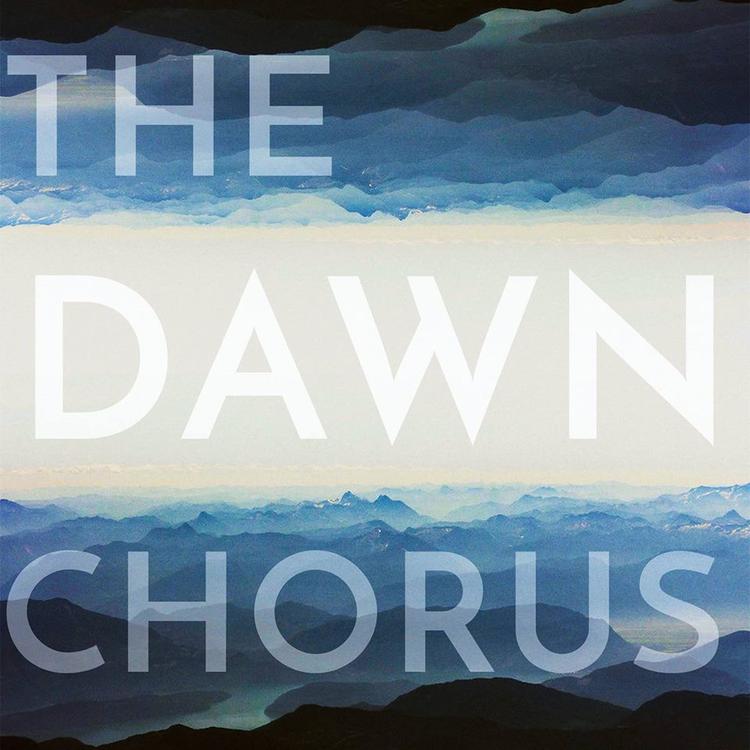 The Dawn Chorus's avatar image