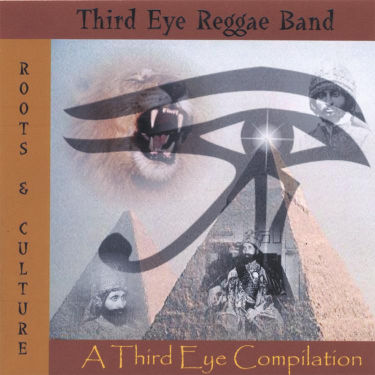 Third Eye Reggae Band's avatar image