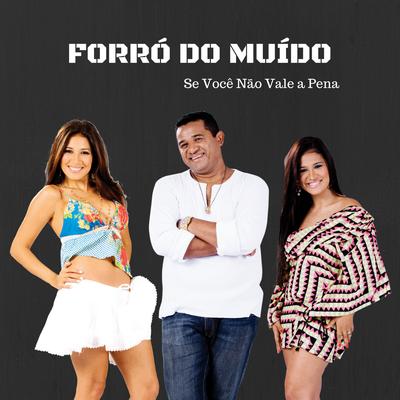 Se Você Não Vale a Pena By Forró do Muído's cover